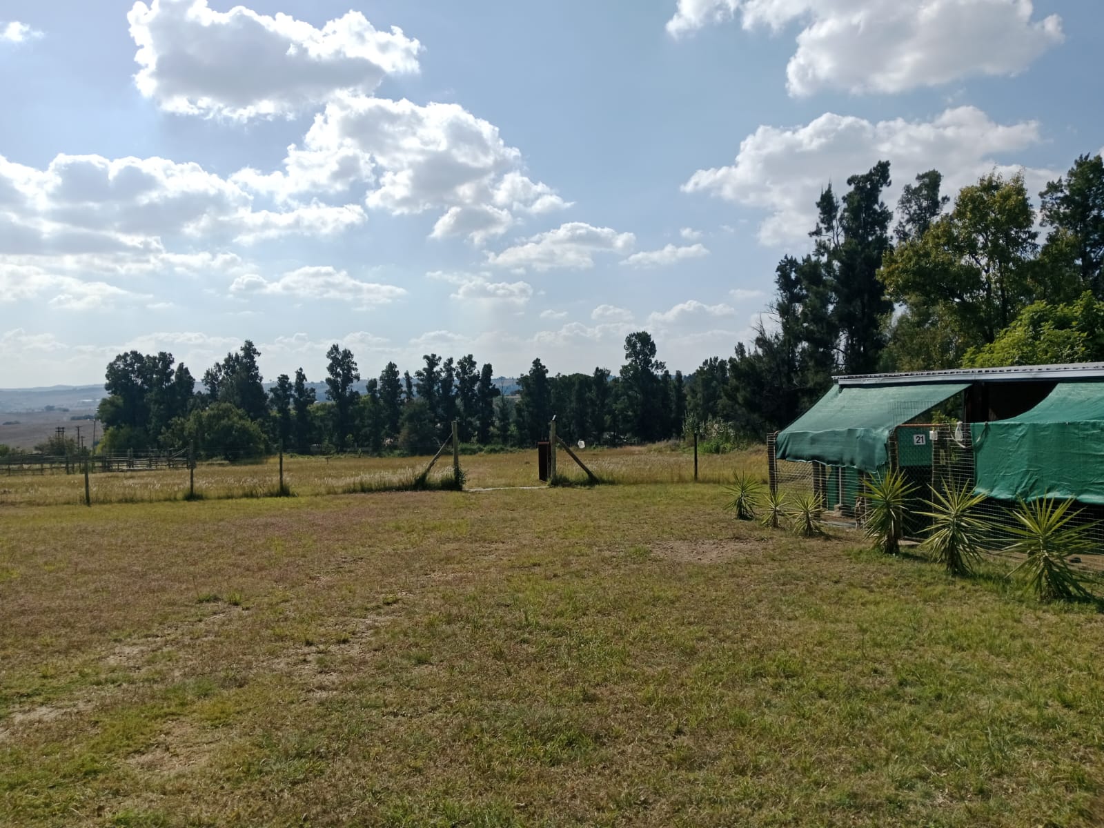 Farm Grounds