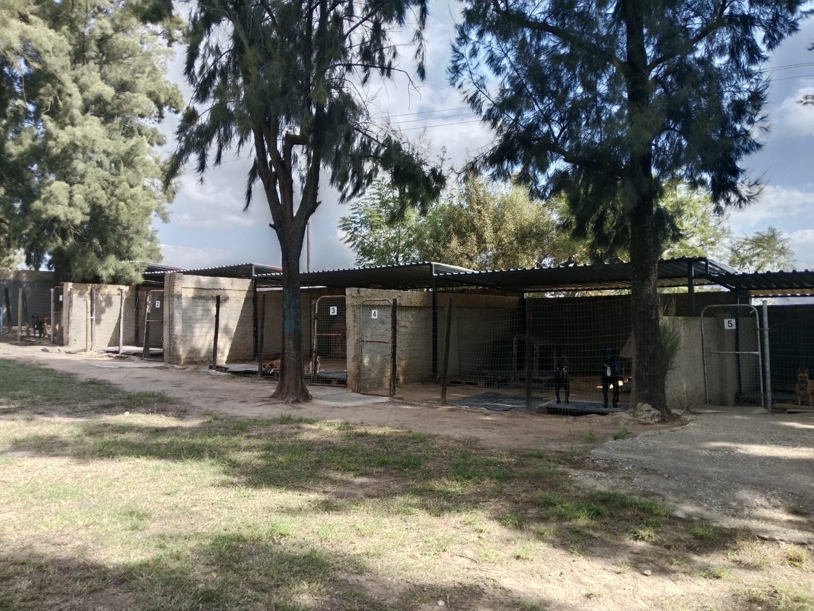 Indoor Kennels