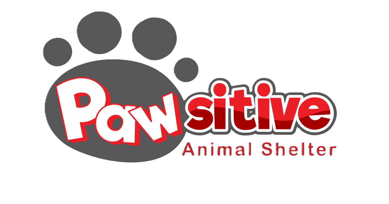 Pawsitive Logo